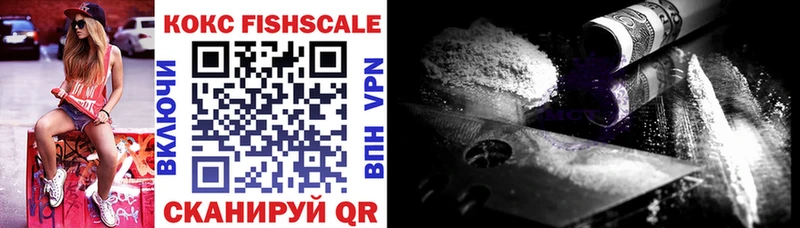 Купить где  Дмитриев  COCAIN 99% 