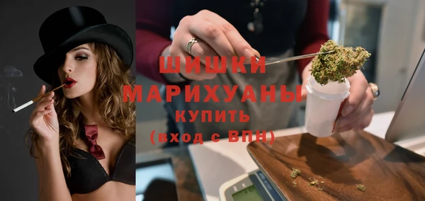 гидропоника Горняк