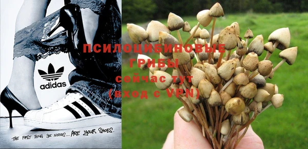 кокаин колумбия Горнозаводск