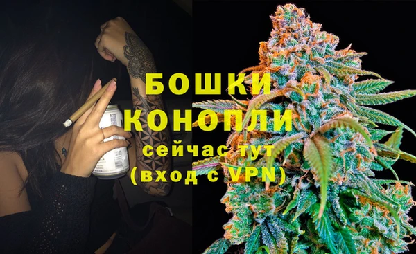 гидропоника Горняк
